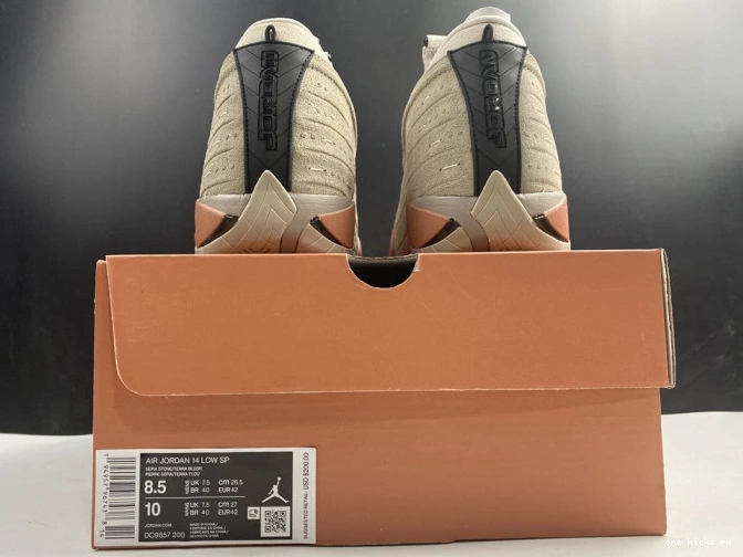 Rep Low Clot AIR Jordan Blush DC9857-200 14 Retro Terra 0715